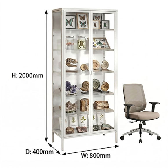 University-biology-lab-with-grey-specimen-display-cabinets
